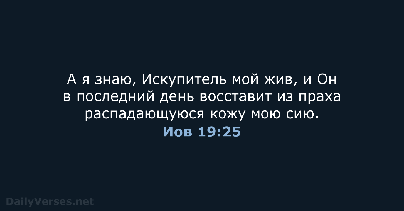 Иов 19:25 - СП