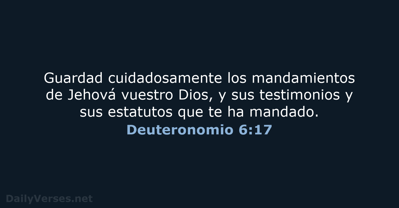 Deuteronomio 6:17 - RVR60