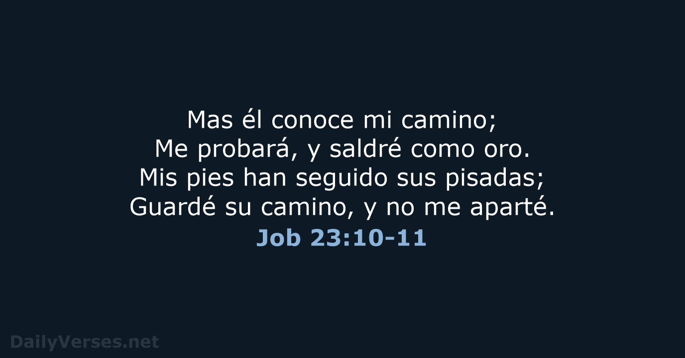 Job 23:10-11 - RVR60