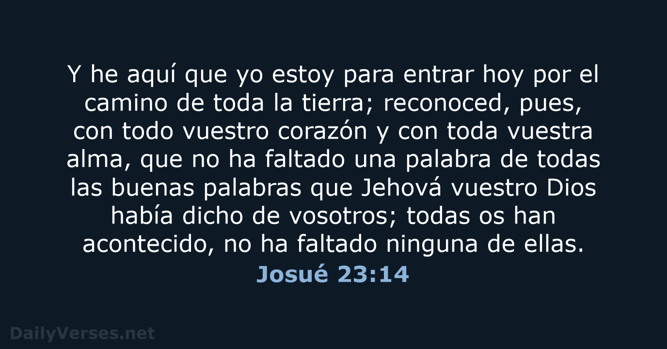 Josué 23:14 - RVR60
