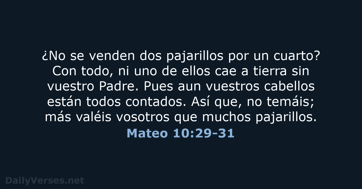 Mateo 10:29-31 - RVR60