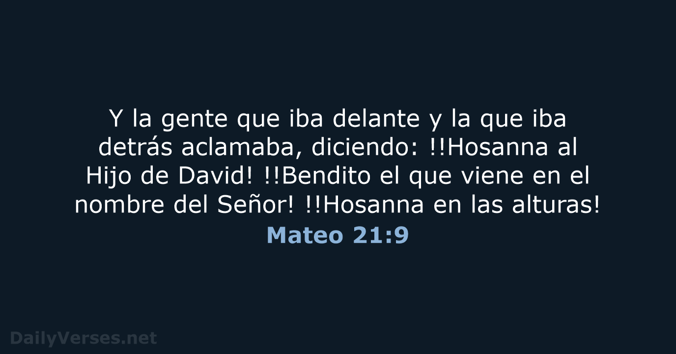 Mateo 21:9 - RVR60
