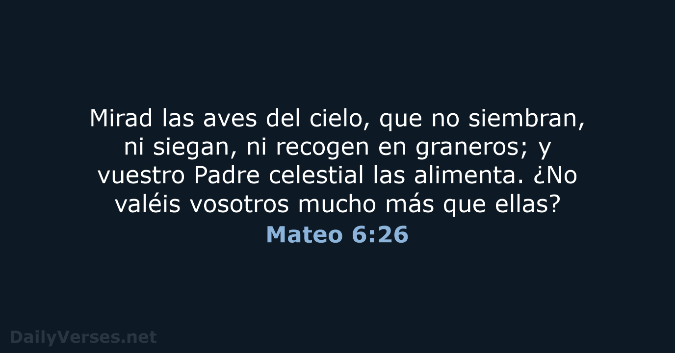 Mateo 6:26 - RVR60