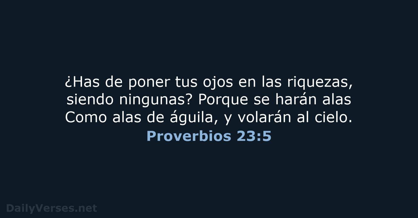 Proverbios 23:5 - RVR60