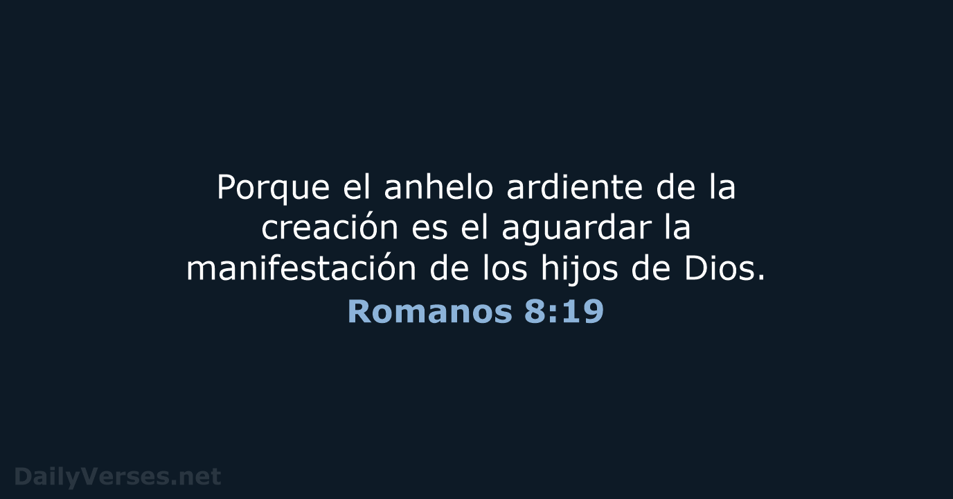 Romanos 8:19 - RVR60