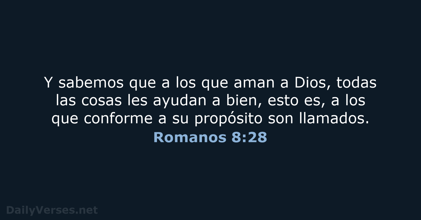 Romanos 8:28 - RVR60