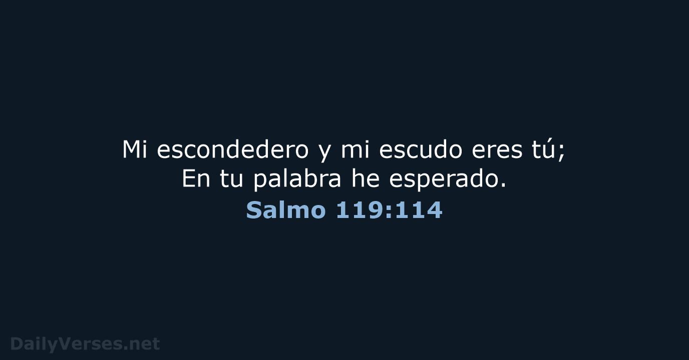 Salmo 119:114 - RVR60