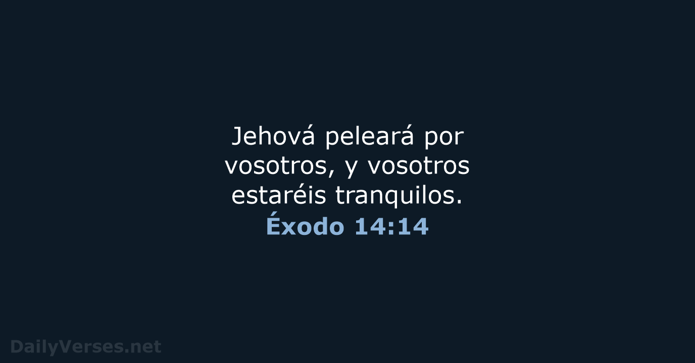 Éxodo 14:14 - RVR95