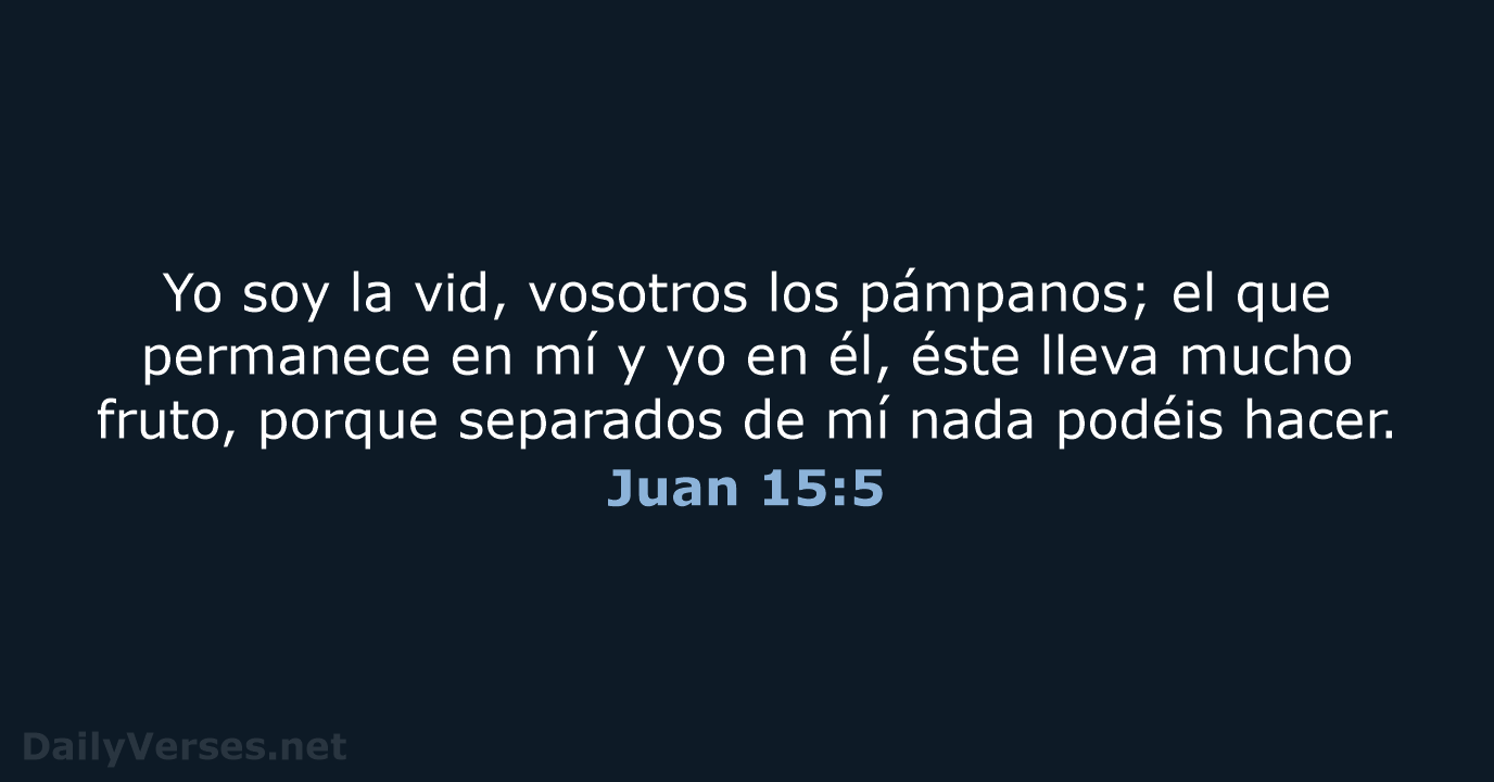 Juan 15:5 - RVR95