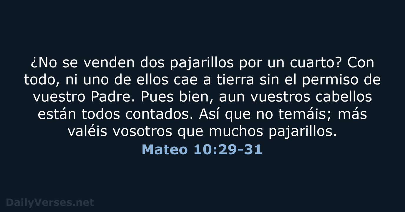 Mateo 10:29-31 - RVR95