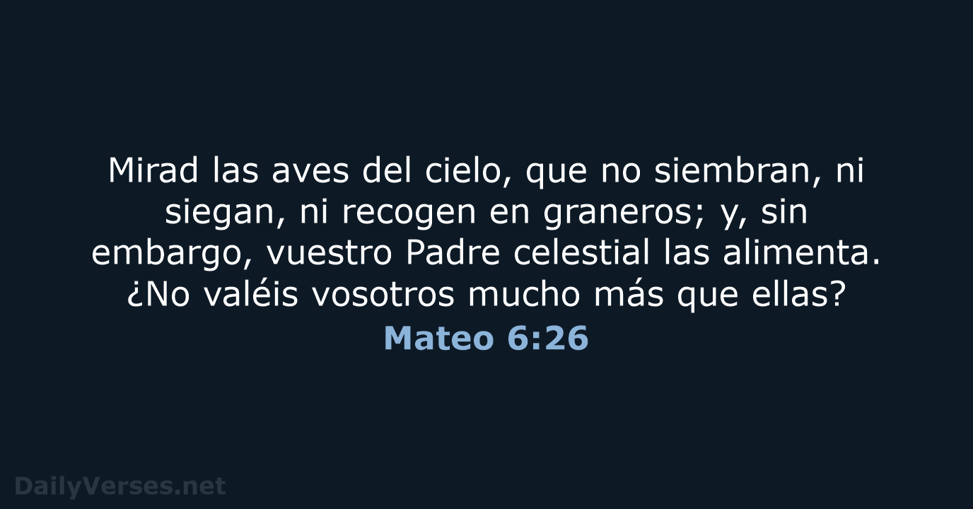 Mateo 6:26 - RVR95