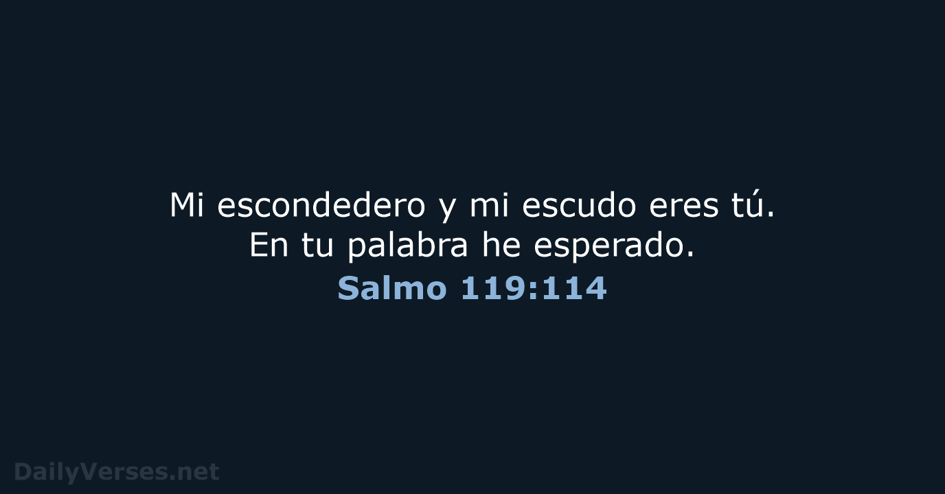 Salmo 119:114 - RVR95