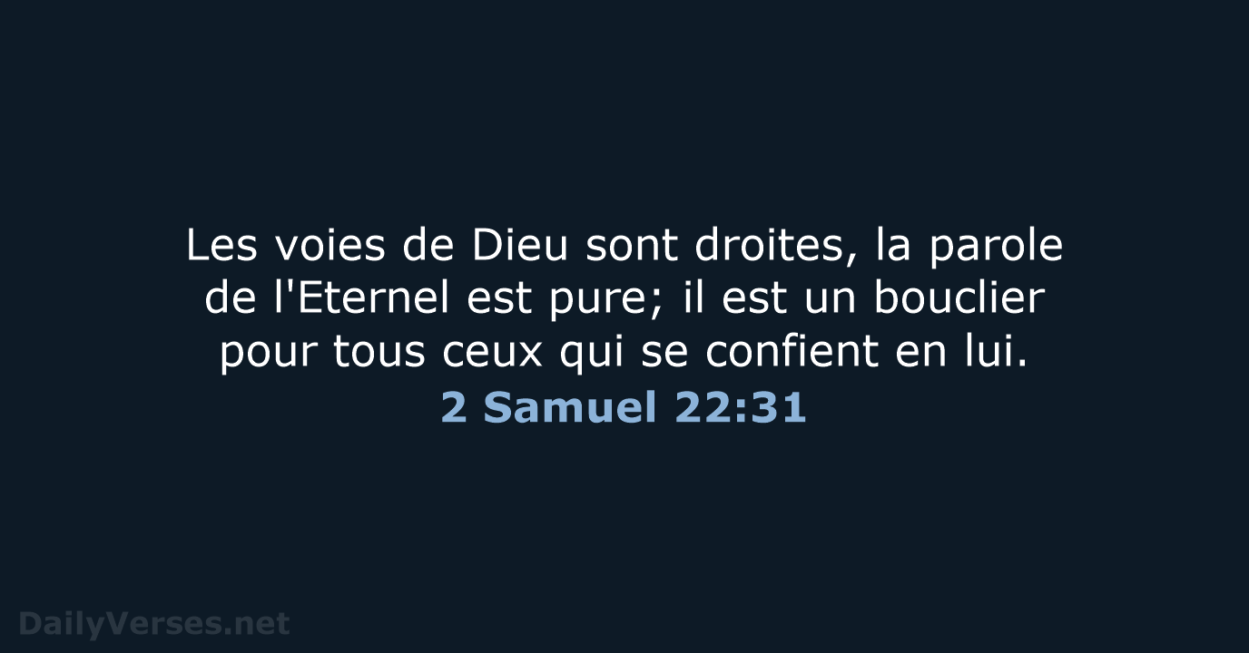 2 Samuel 22:31 - SG21