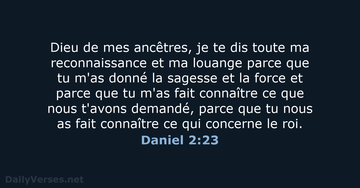 Daniel 2:23 - SG21