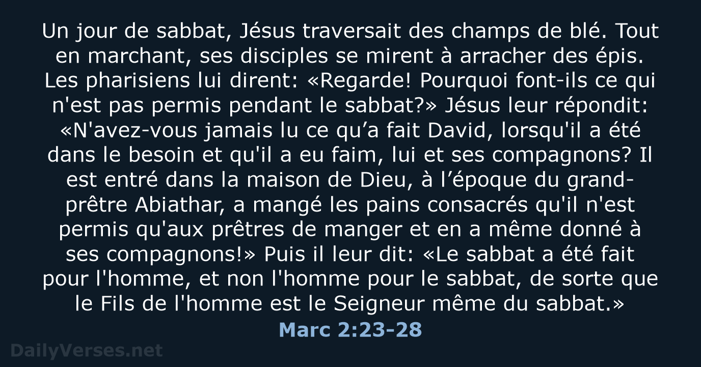 Marc 2 23 28 Verset De La Bible DailyVerses