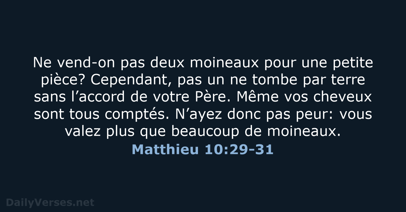 Matthieu 10:29-31 - SG21