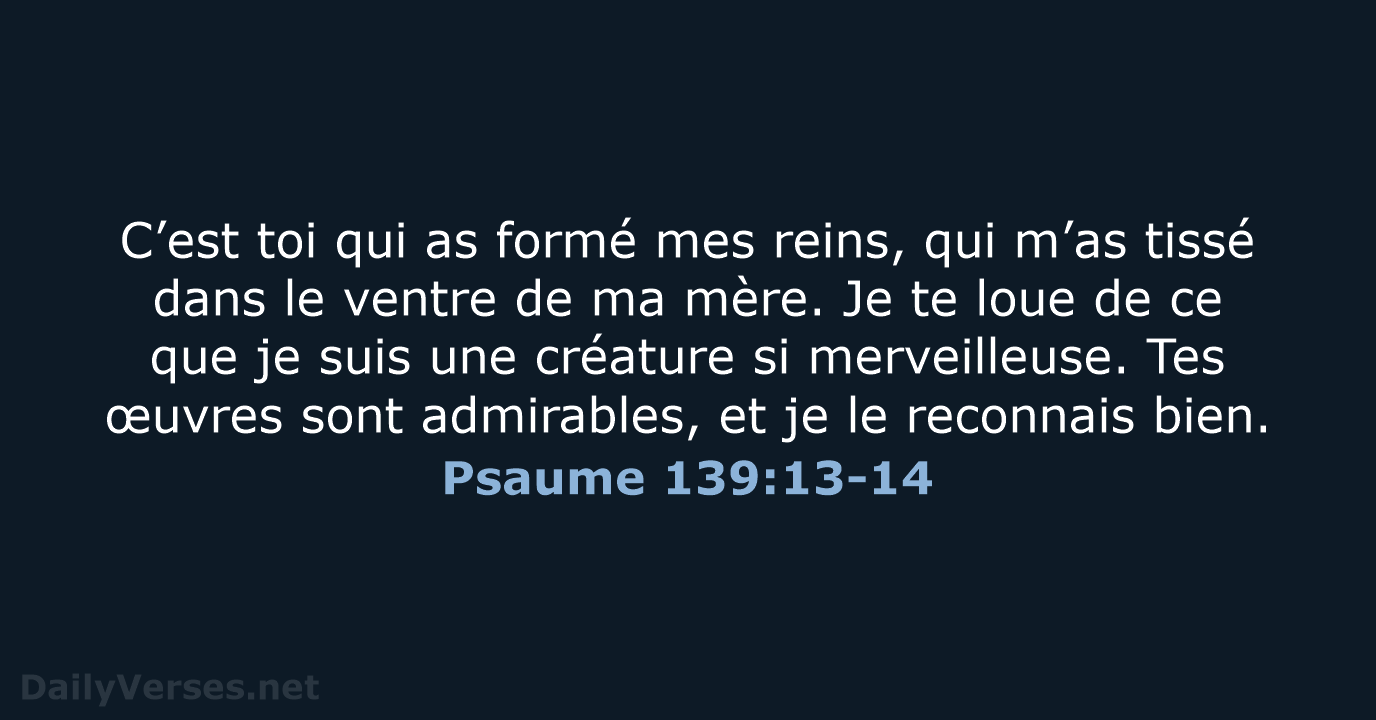 Psaume 139:13-14 - SG21