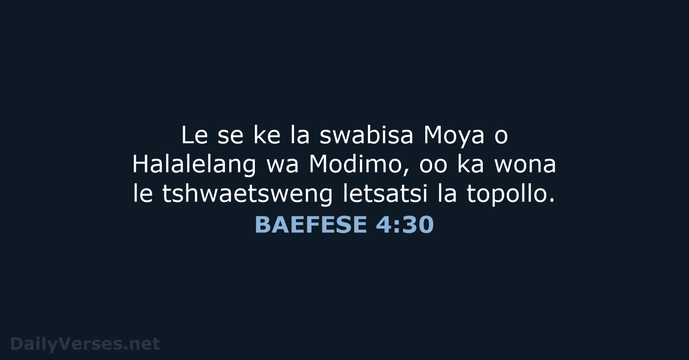 BAEFESE 4:30 - SSO89
