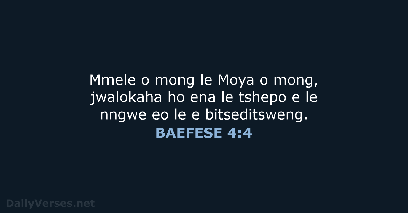 BAEFESE 4:4 - SSO89