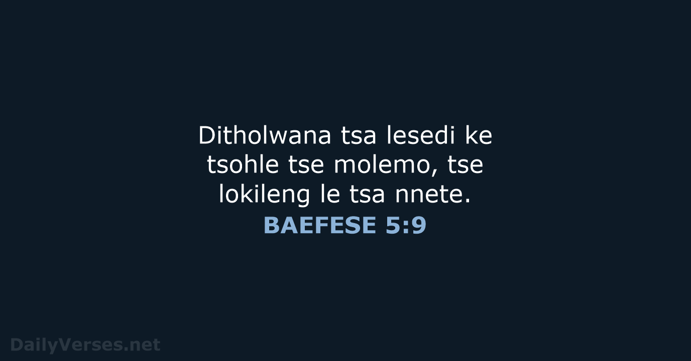 BAEFESE 5:9 - SSO89