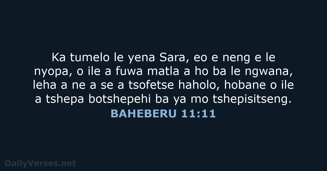 BAHEBERU 11:11 - SSO89