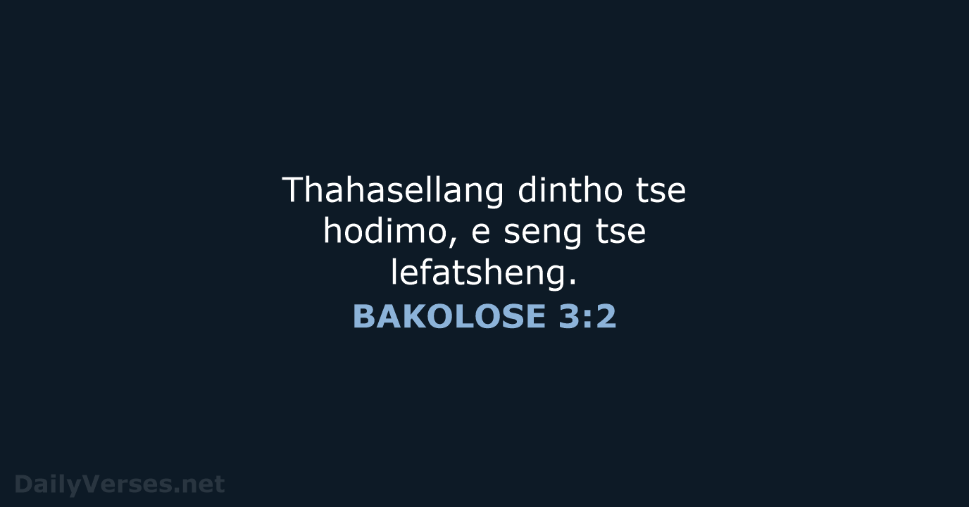 BAKOLOSE 3:2 - SSO89