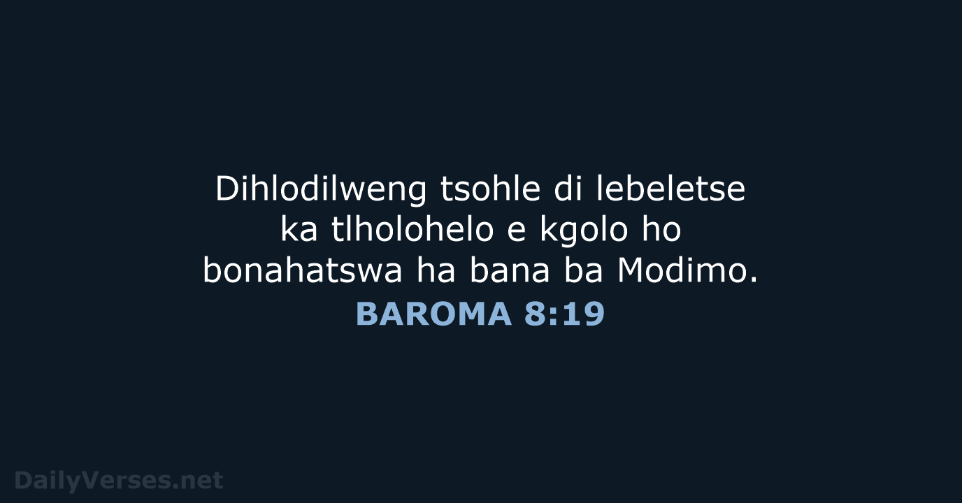 BAROMA 8:19 - SSO89