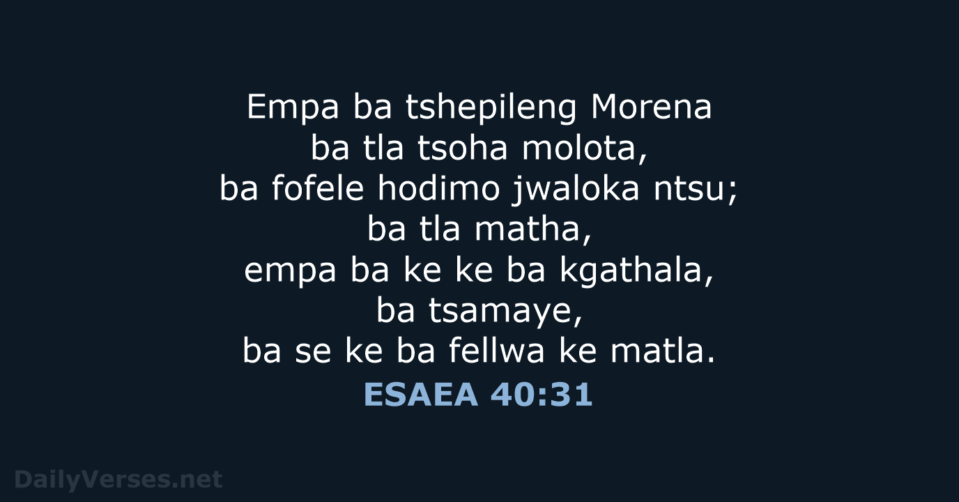 ESAEA 40:31 - SSO89