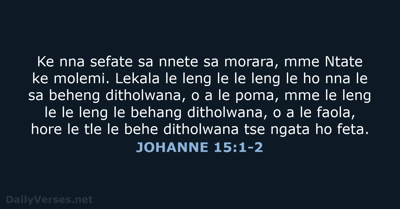 JOHANNE 15:1-2 - SSO89