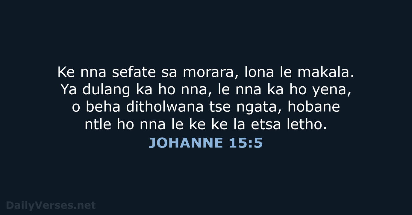 JOHANNE 15:5 - SSO89