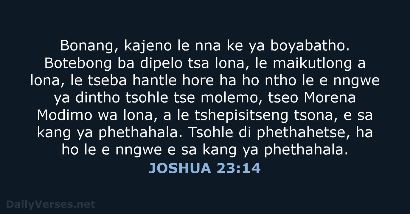 JOSHUA 23:14 - SSO89