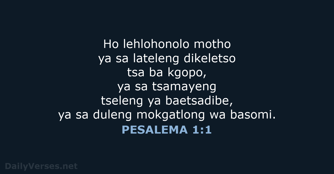 PESALEMA 1:1 - SSO89