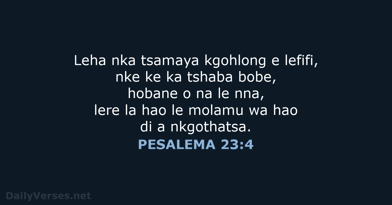 PESALEMA 23:4 - SSO89