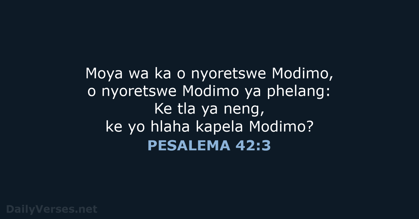 PESALEMA 42:3 - SSO89