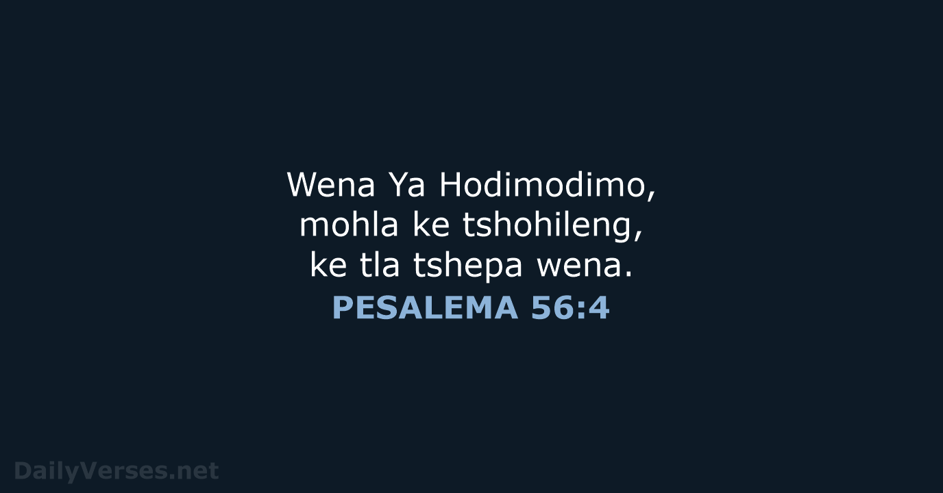 Wena Ya Hodimodimo, mohla ke tshohileng, ke tla tshepa wena. PESALEMA 56:4