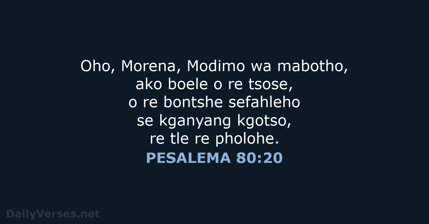 PESALEMA 80:20 - SSO89