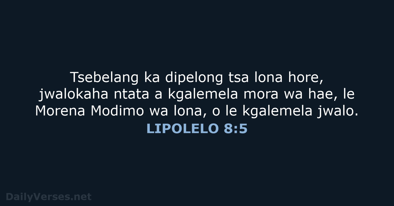 LIPOLELO 8:5 - SSO89