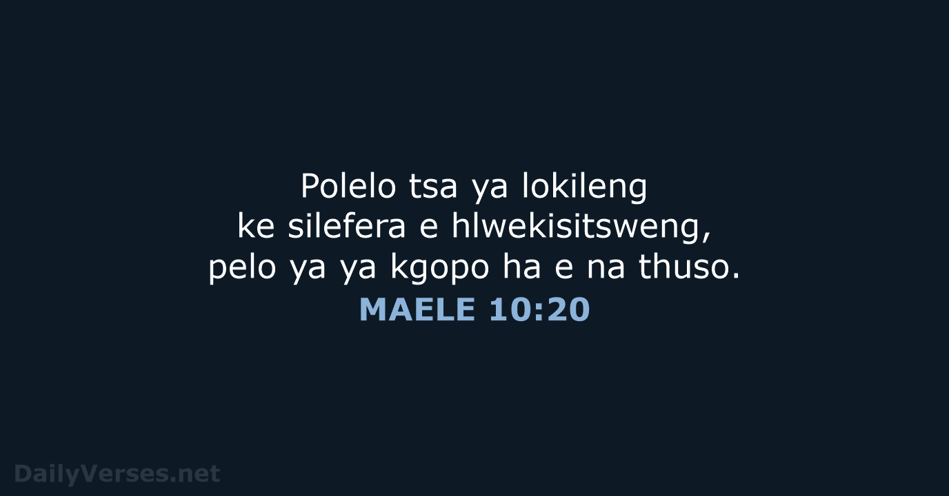 MAELE 10:20 - SSO89