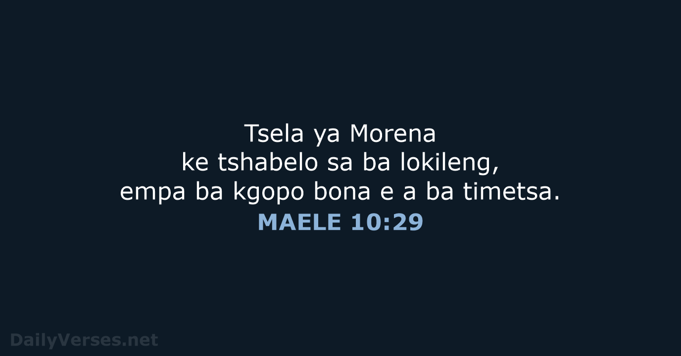 MAELE 10:29 - SSO89