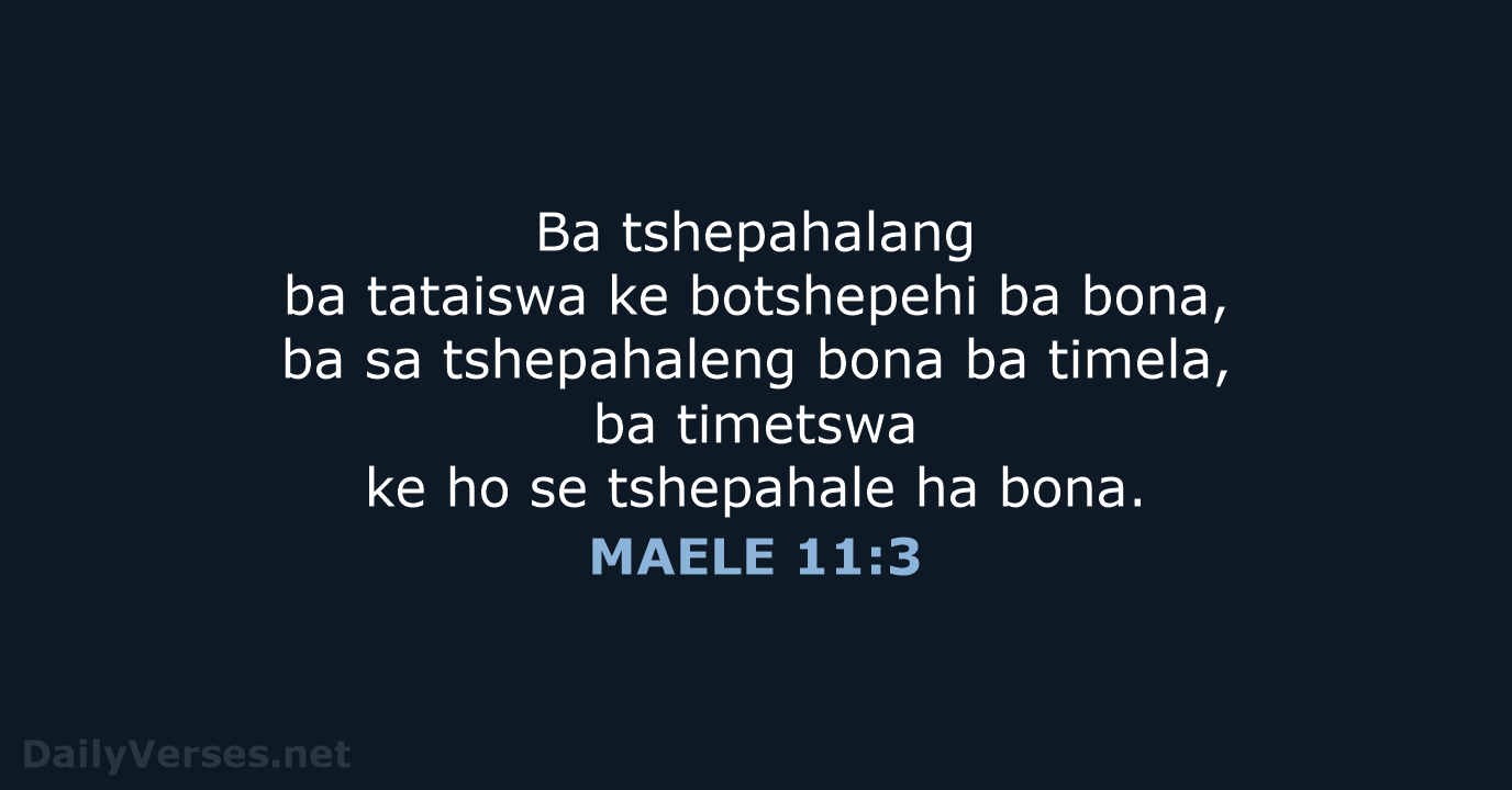 MAELE 11:3 - SSO89