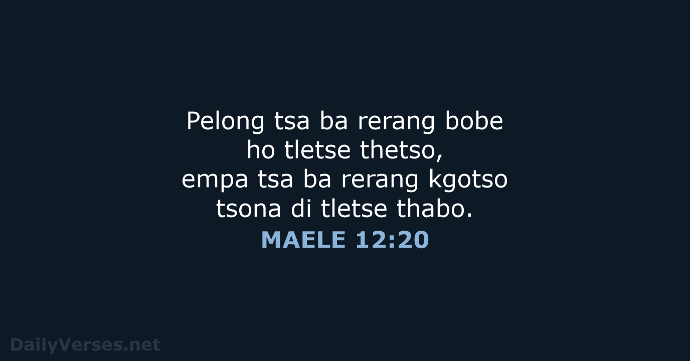 MAELE 12:20 - SSO89