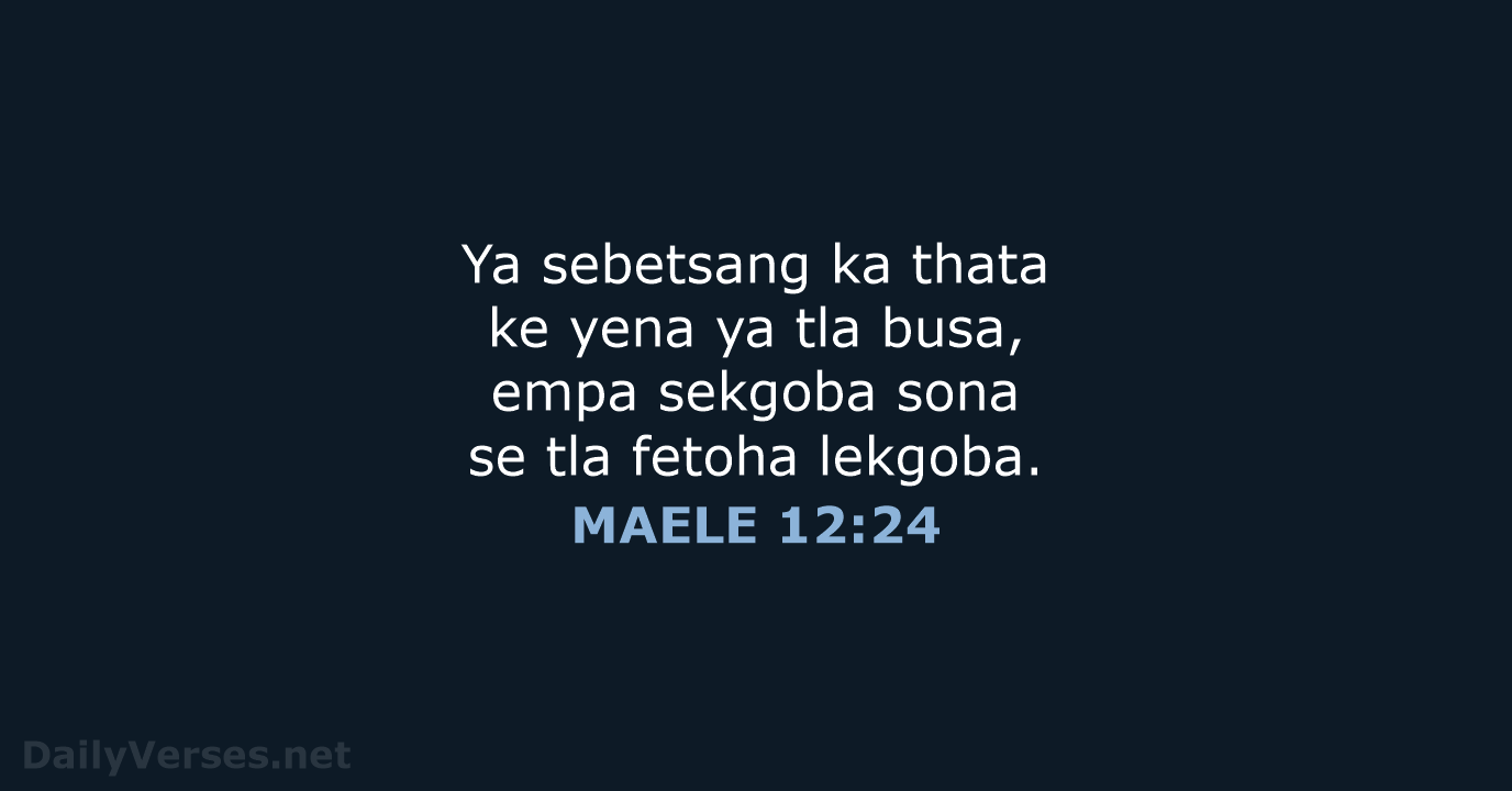 MAELE 12:24 - SSO89