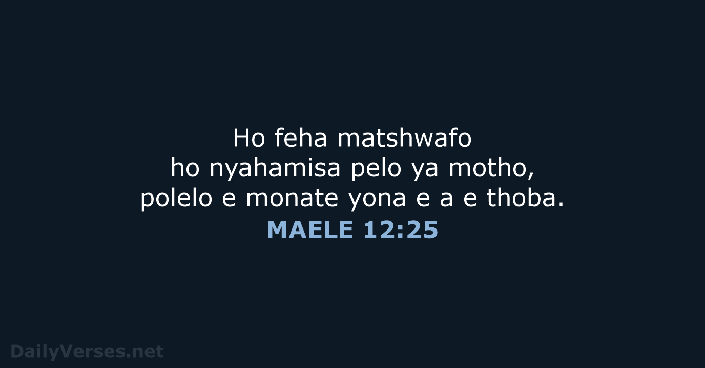 MAELE 12:25 - SSO89