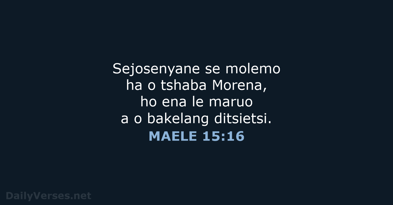 MAELE 15:16 - SSO89