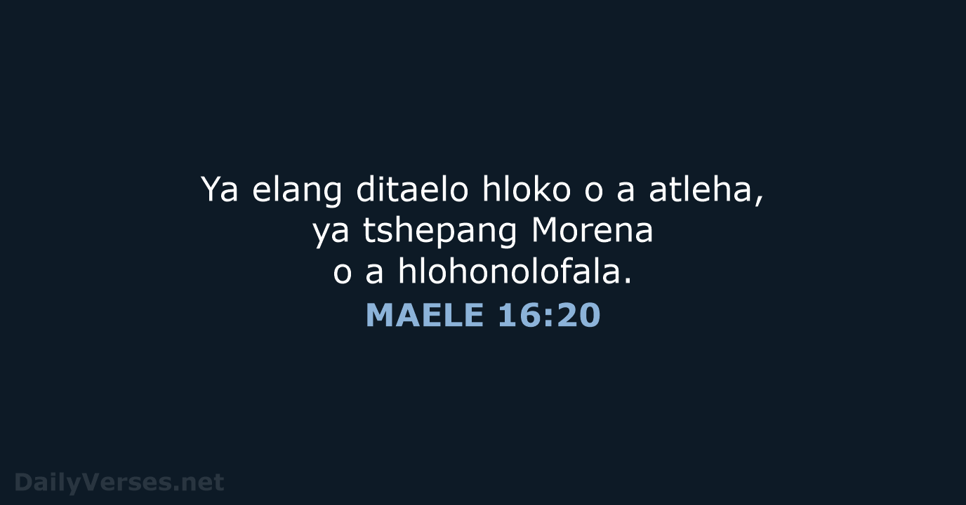 MAELE 16:20 - SSO89