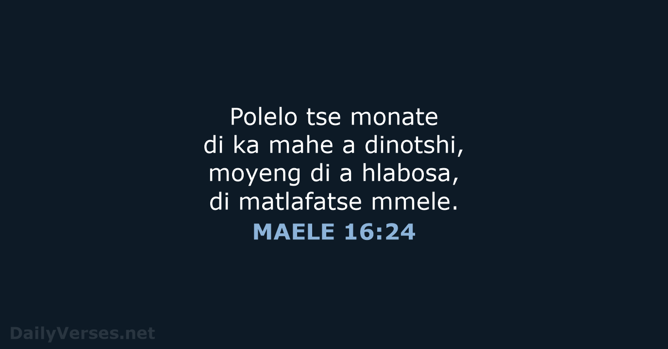 MAELE 16:24 - SSO89