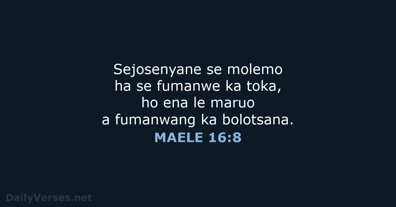 MAELE 16:8 - SSO89
