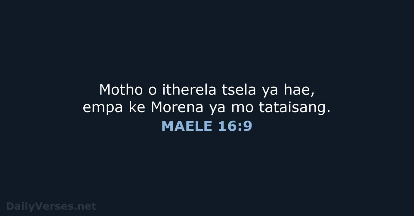 MAELE 16:9 - SSO89