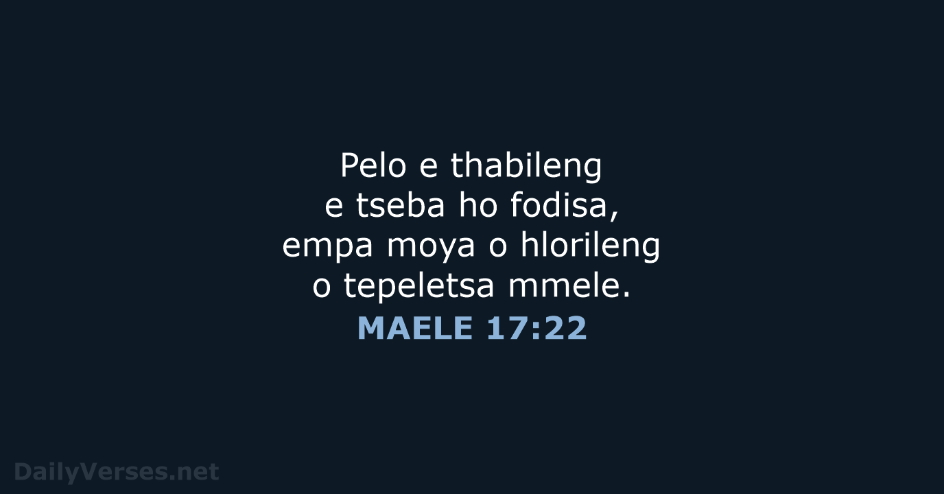 MAELE 17:22 - SSO89