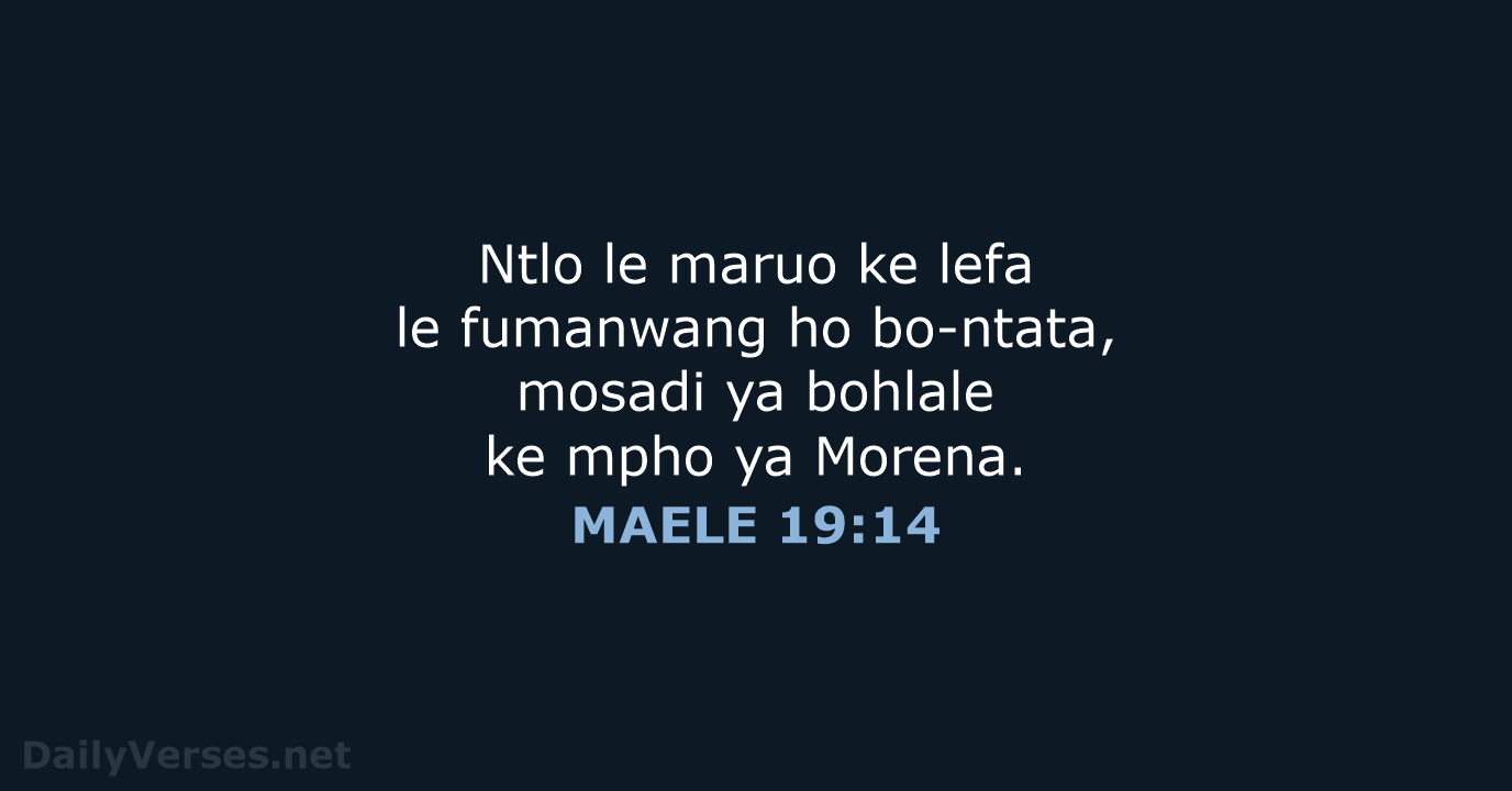 MAELE 19:14 - SSO89
